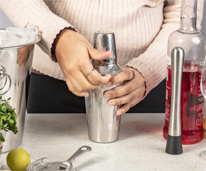 Regular Shaker zupahome